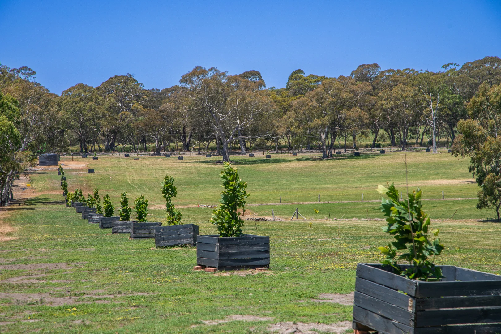 Additional image 9 of 764 (Sec 2989) Flaxley Road, Flaxley SA 5153