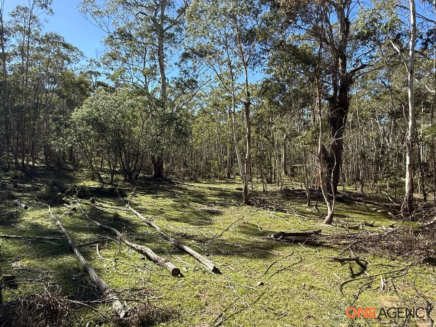 Additional image 19 of 401 Glen Allen Road, Glen Allen NSW 2631