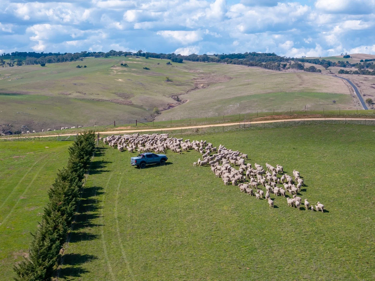 Additional image 3 of 271/1185 Golspie Road, Laggan NSW 2583