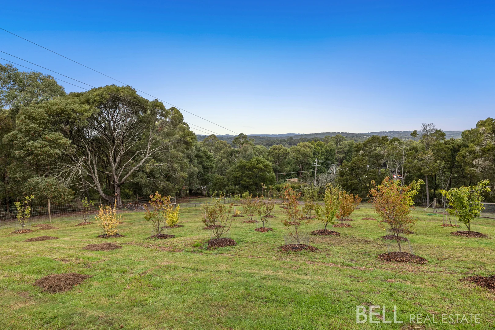 Additional image 22 of 120 Hollis Road, Silvan VIC 3795