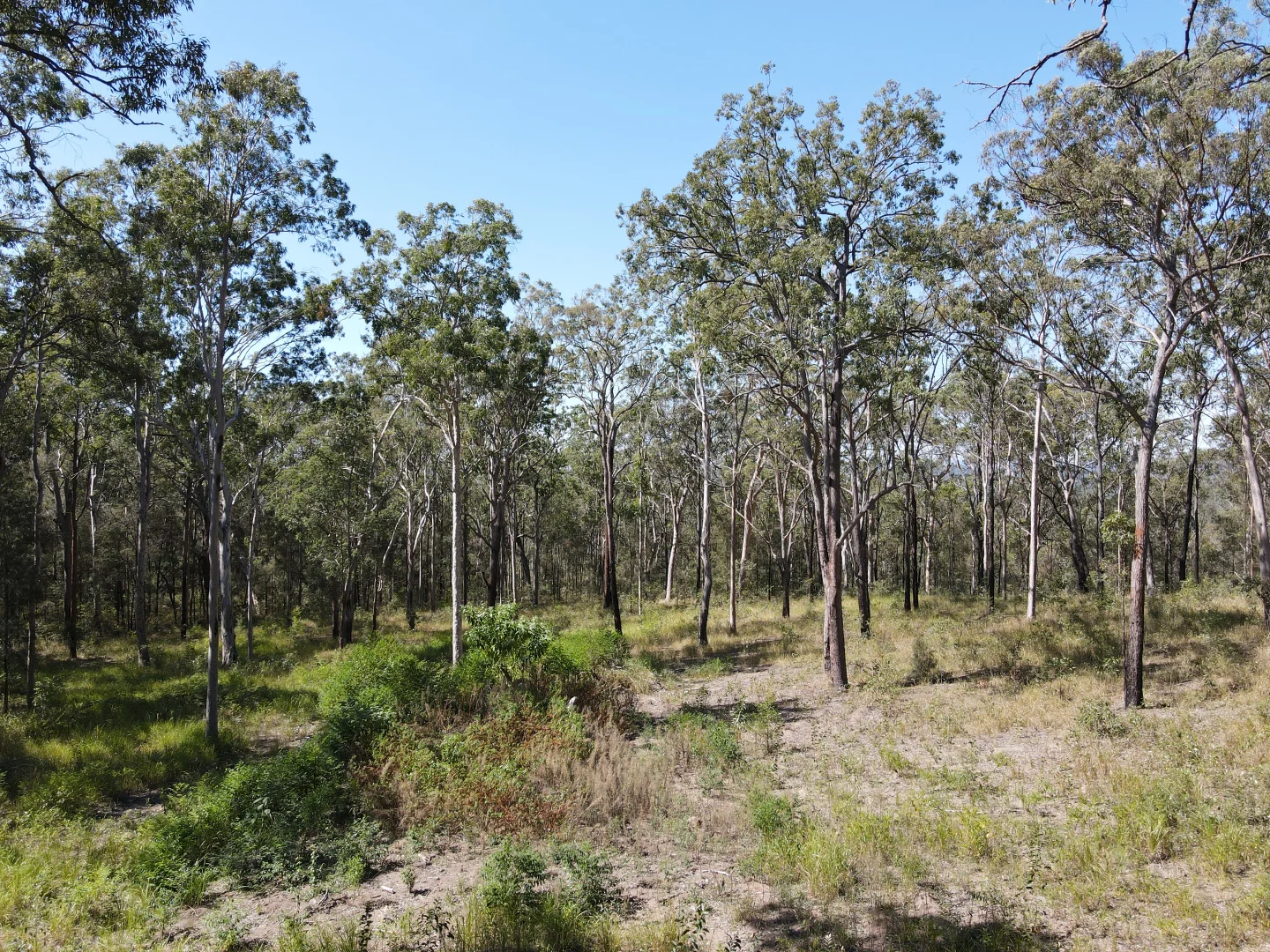 Additional image 13 of 428 Bruxner Road, Drake NSW 2469
