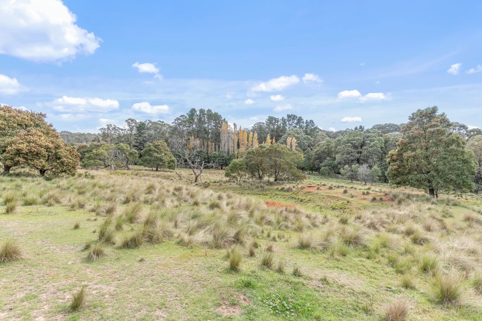 Additional image 16 of 1231 Sunny Corner Road, Sunny Corner NSW 2795