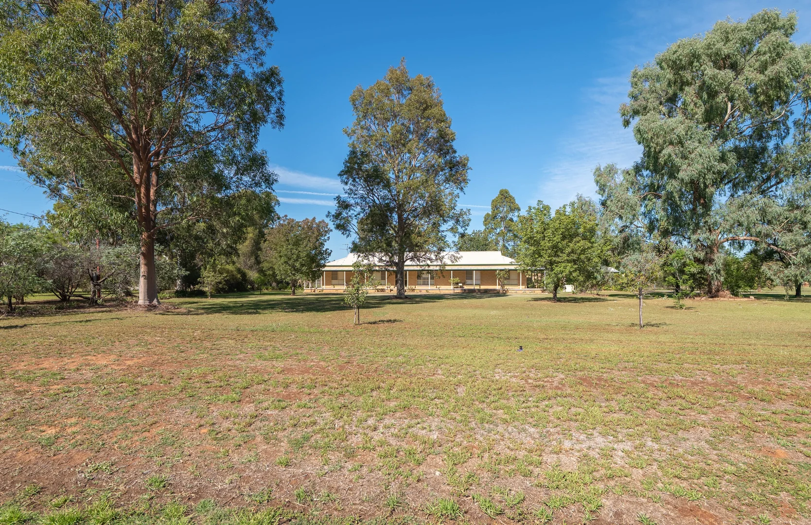 Additional image 18 of 18 South Lead Road, Forbes NSW 2871