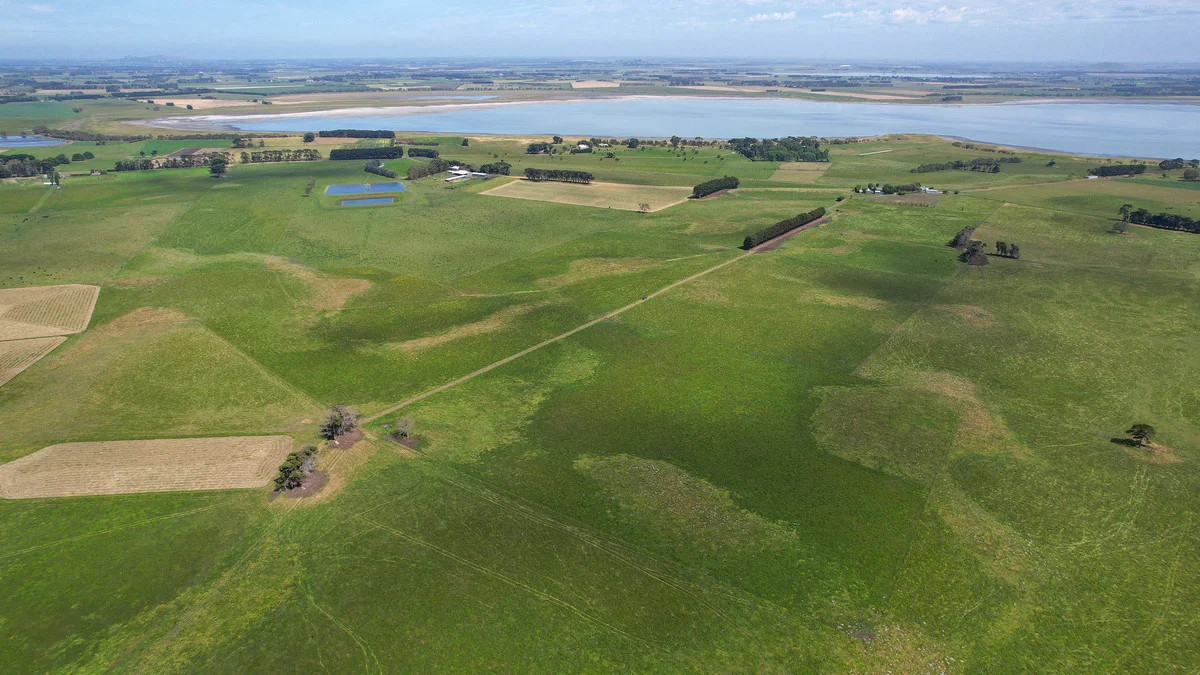 Additional image 25 of 'Avon Park Farm' 310 Chocolyn Road, Camperdown VIC 3260