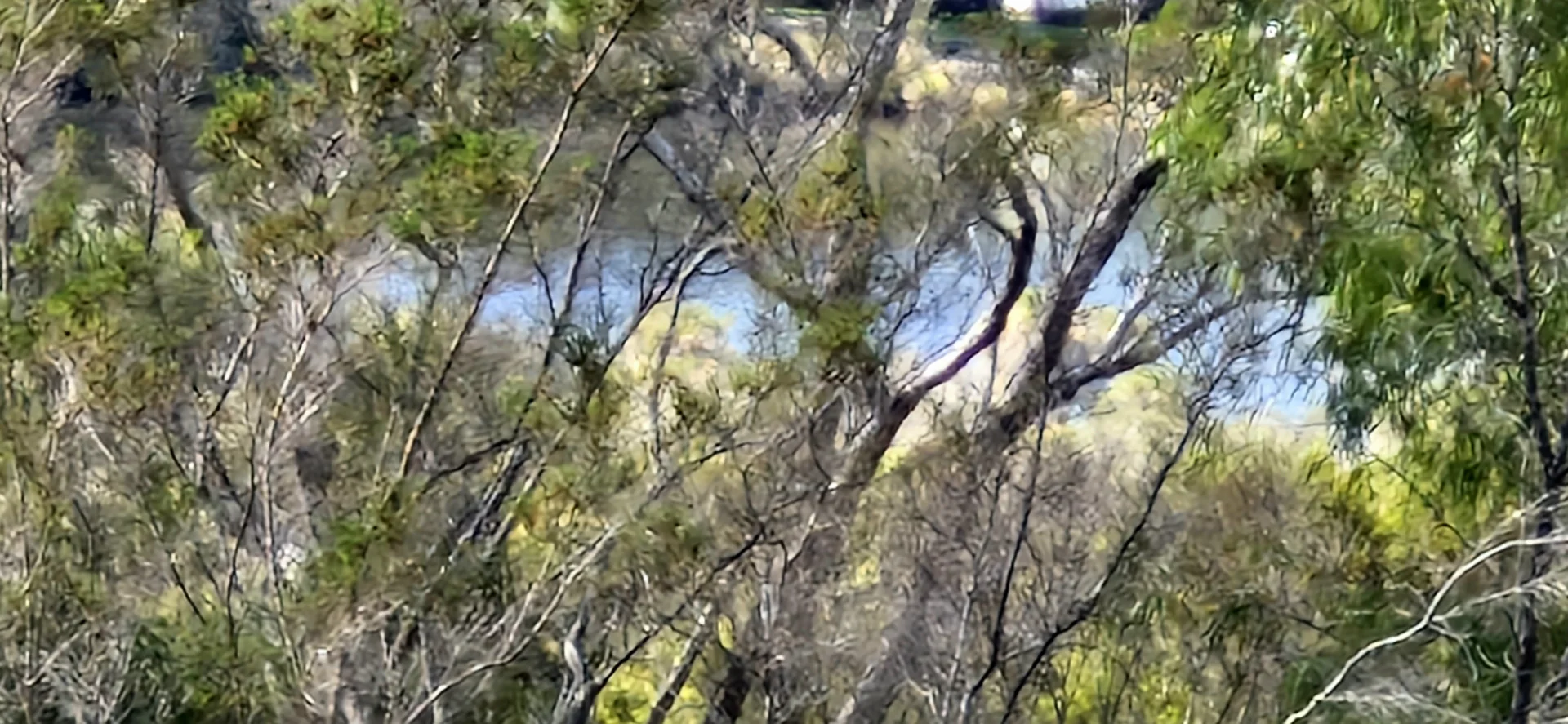 Additional image 9 of 14 Burton Close, Walpole WA 6398