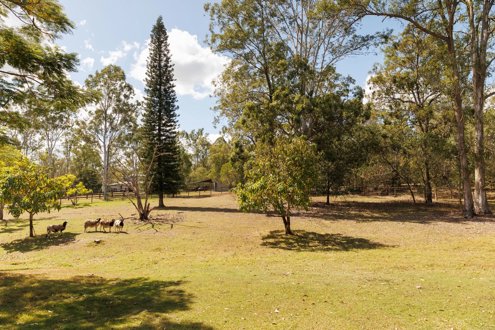 Additional image 12 of 72 Riversleigh Road, Bellbowrie QLD 4070