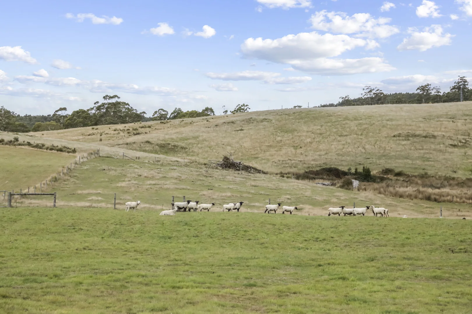 Additional image 30 of 38485 Tasman Highway, Targa TAS 7259