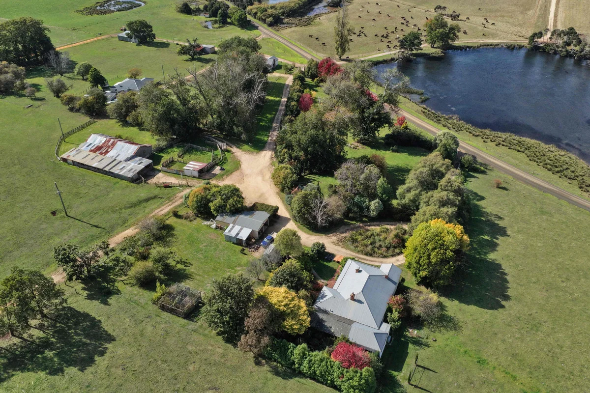 Additional image 13 of 985 Ferny Hill Road, Bridport TAS 7262