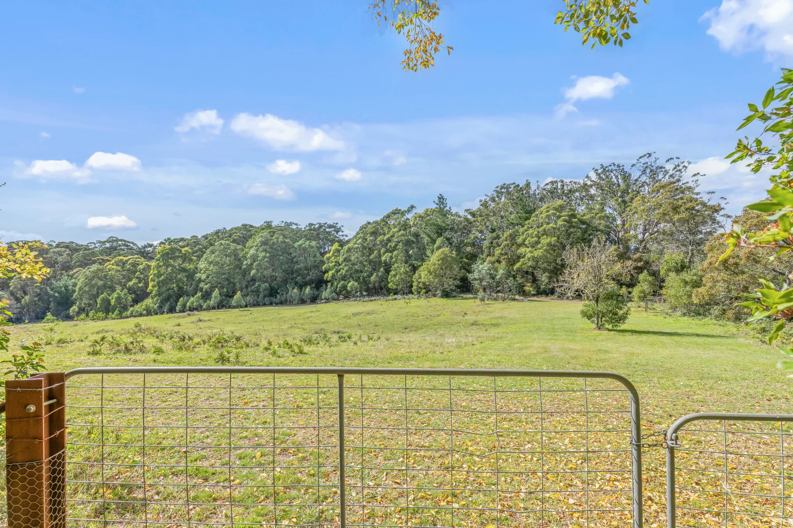Additional image 15 of 1231 Sunny Corner Road, Sunny Corner NSW 2795