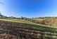 Additional image 15 of Tytherley Road, Winterslow, Salisbury, Wiltshire, SP5