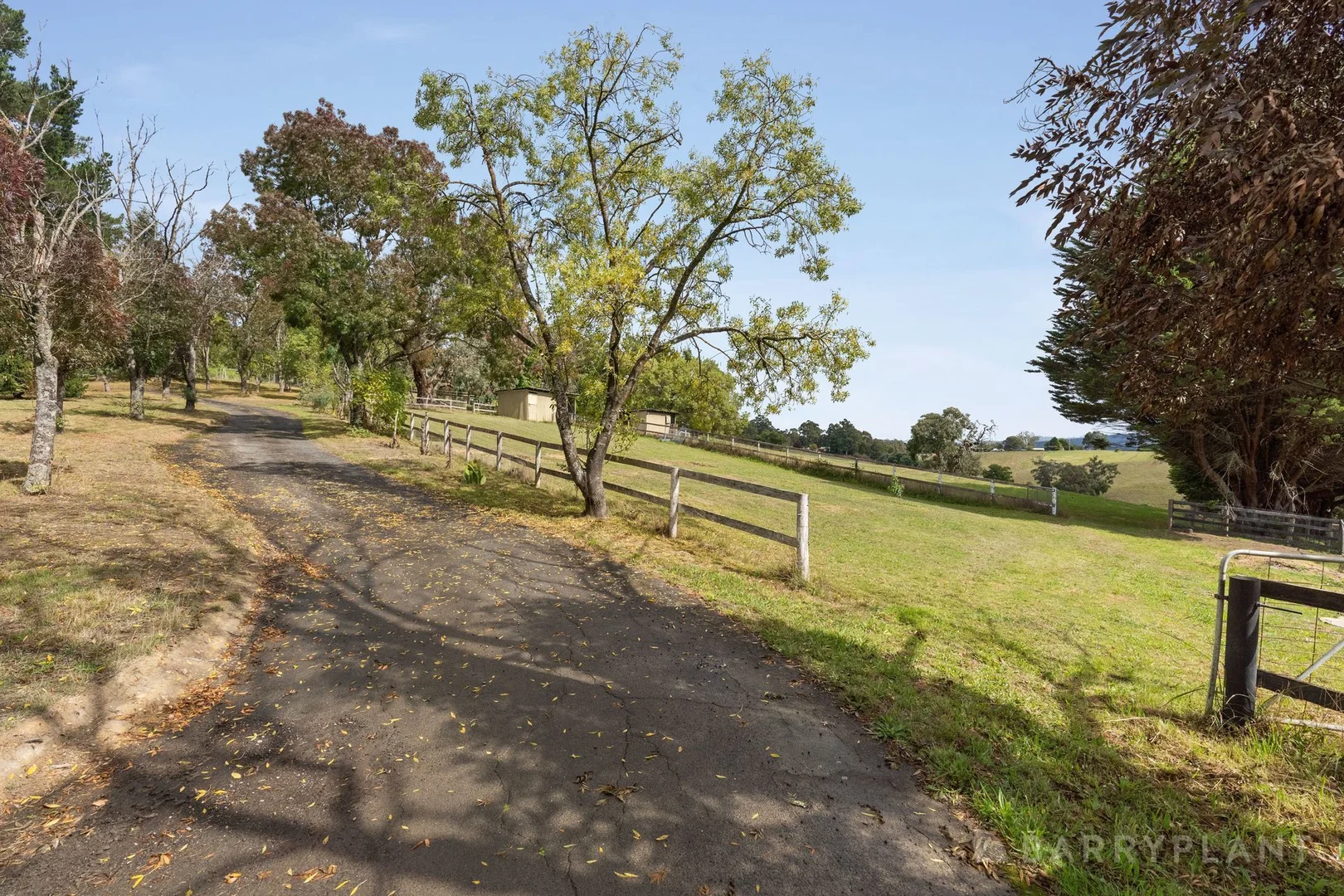 Additional image 20 of 191 Spillers Road, Macclesfield VIC 3782