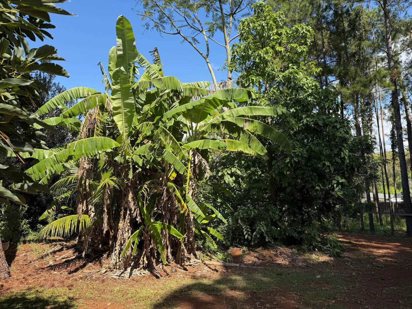 Additional image 3 of 7 Judith Street, Russell Island QLD 4184