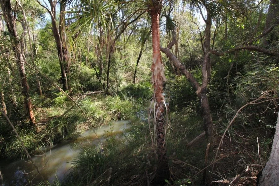 Additional image 34 of 491 Hills Road, Berajondo QLD 4674