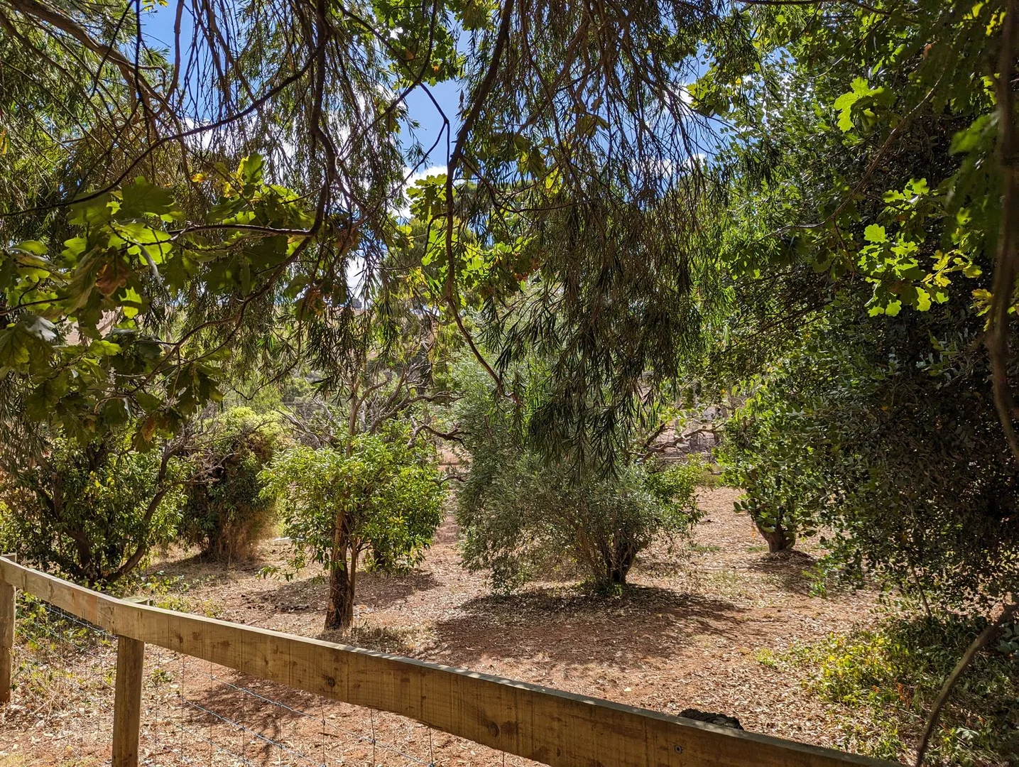Additional image 20 of 43 Harper Road, Clarendon SA 5157