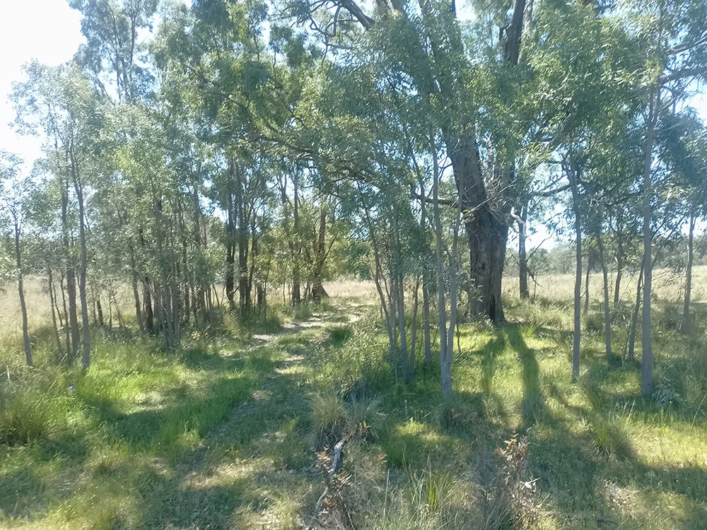 Additional image 5 of 1025 Castlereagh Highway, Dunedoo NSW 2844