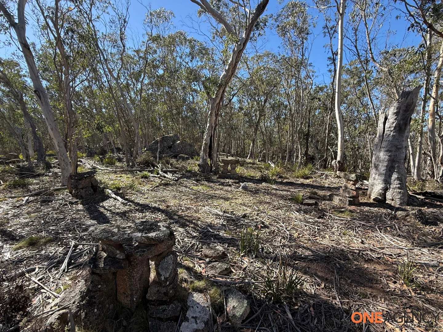 Additional image 18 of 401 Glen Allen Road, Glen Allen NSW 2631
