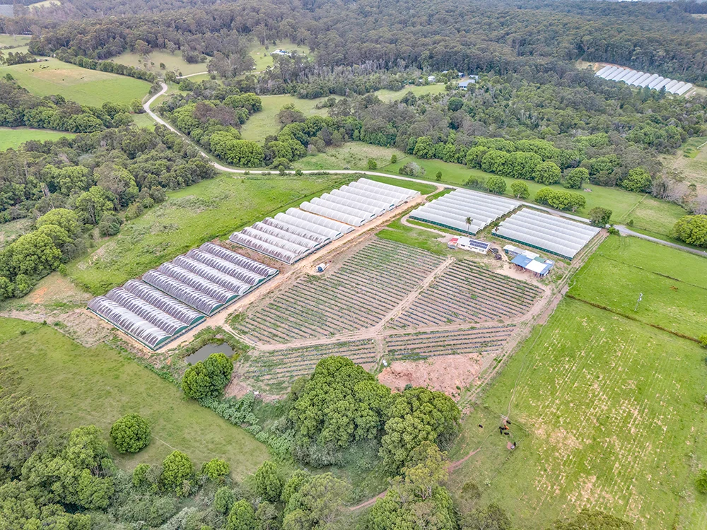 Additional image 6 of 289 Mardells Road, Bucca NSW 2450