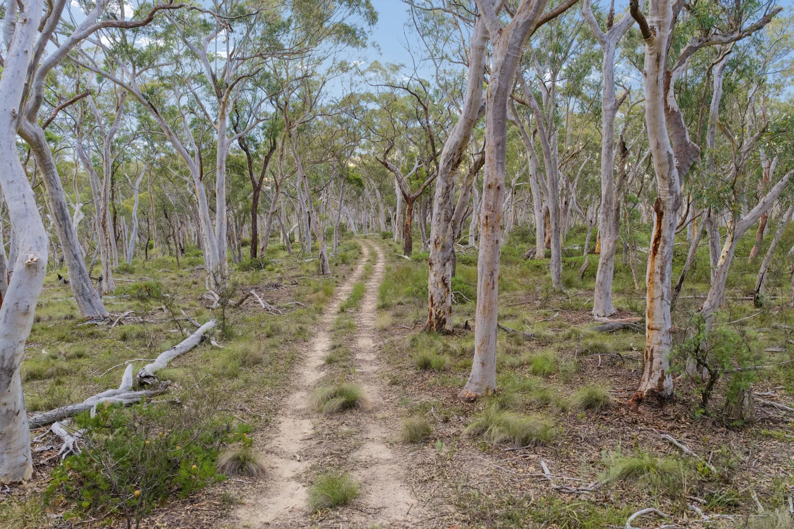 Additional image 22 of 328 Wolgon Rd, Windellama NSW 2580