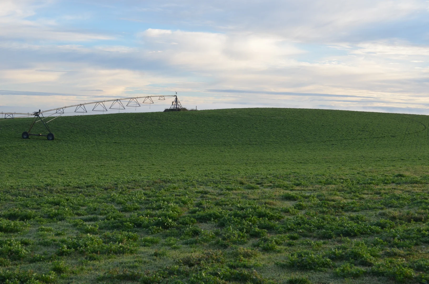 Additional image 9 of Southern Ports Highway, Mount Benson SA 5275