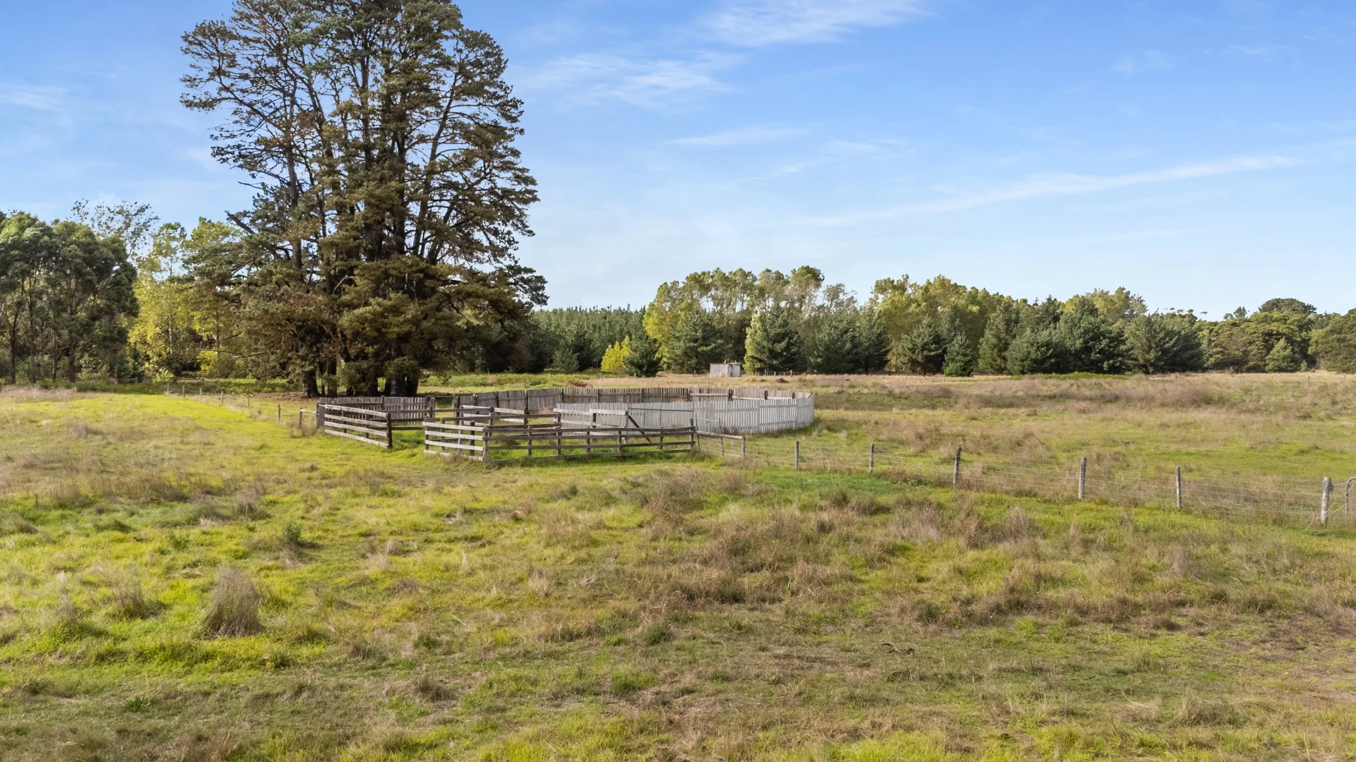 Additional image 7 of 7 McEwin Avenue, Tarpeena SA 5277