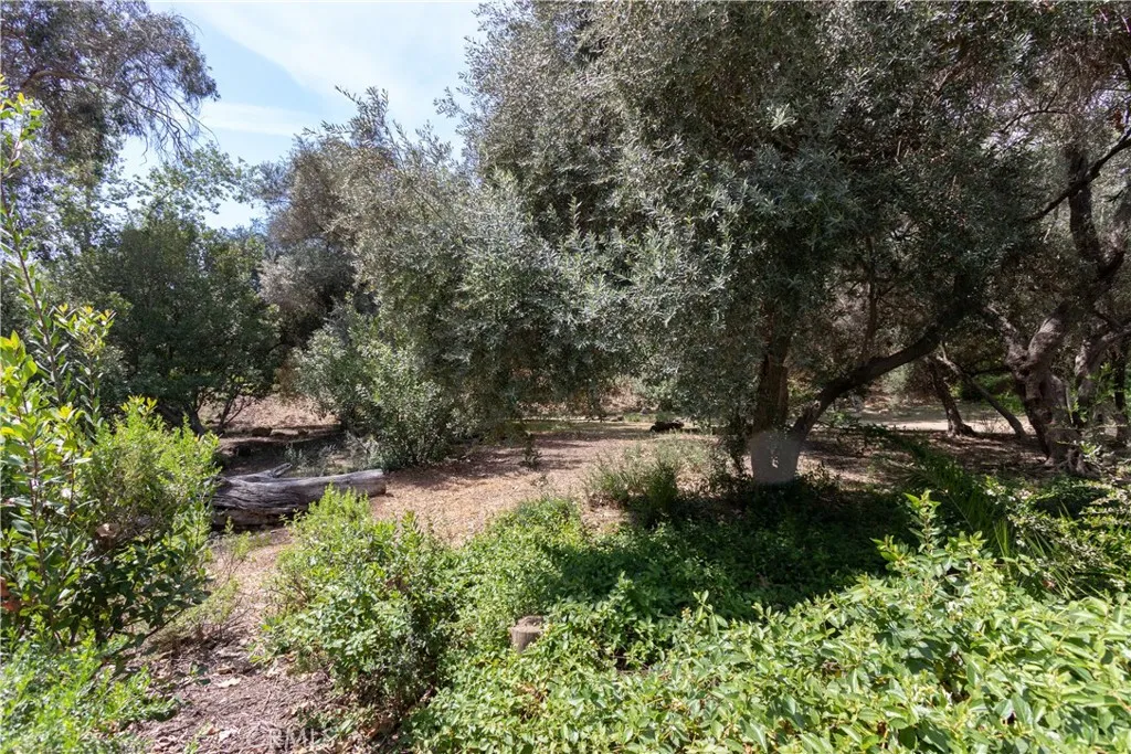 Additional image 105 of 21865 Delicia Dr, Rancho Santa Margarita, CA 92679