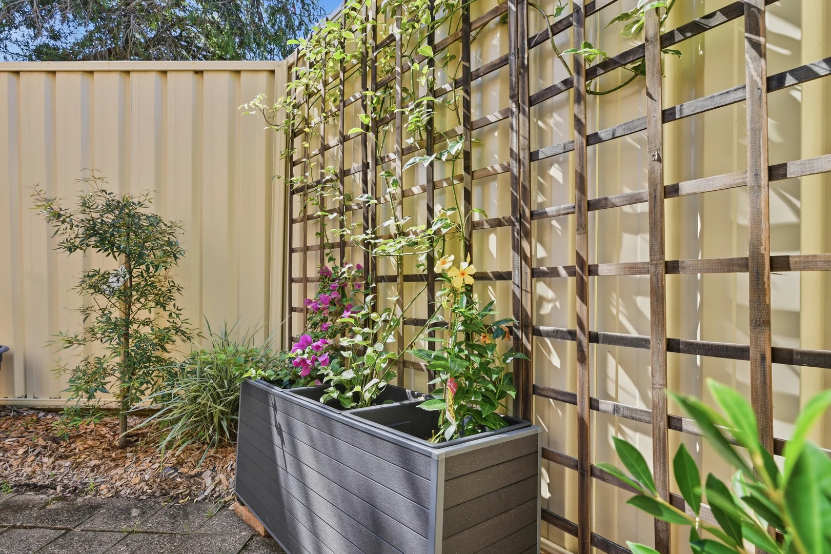 Additional image 12 of 12/75 Hill Street, Port Macquarie NSW 2444