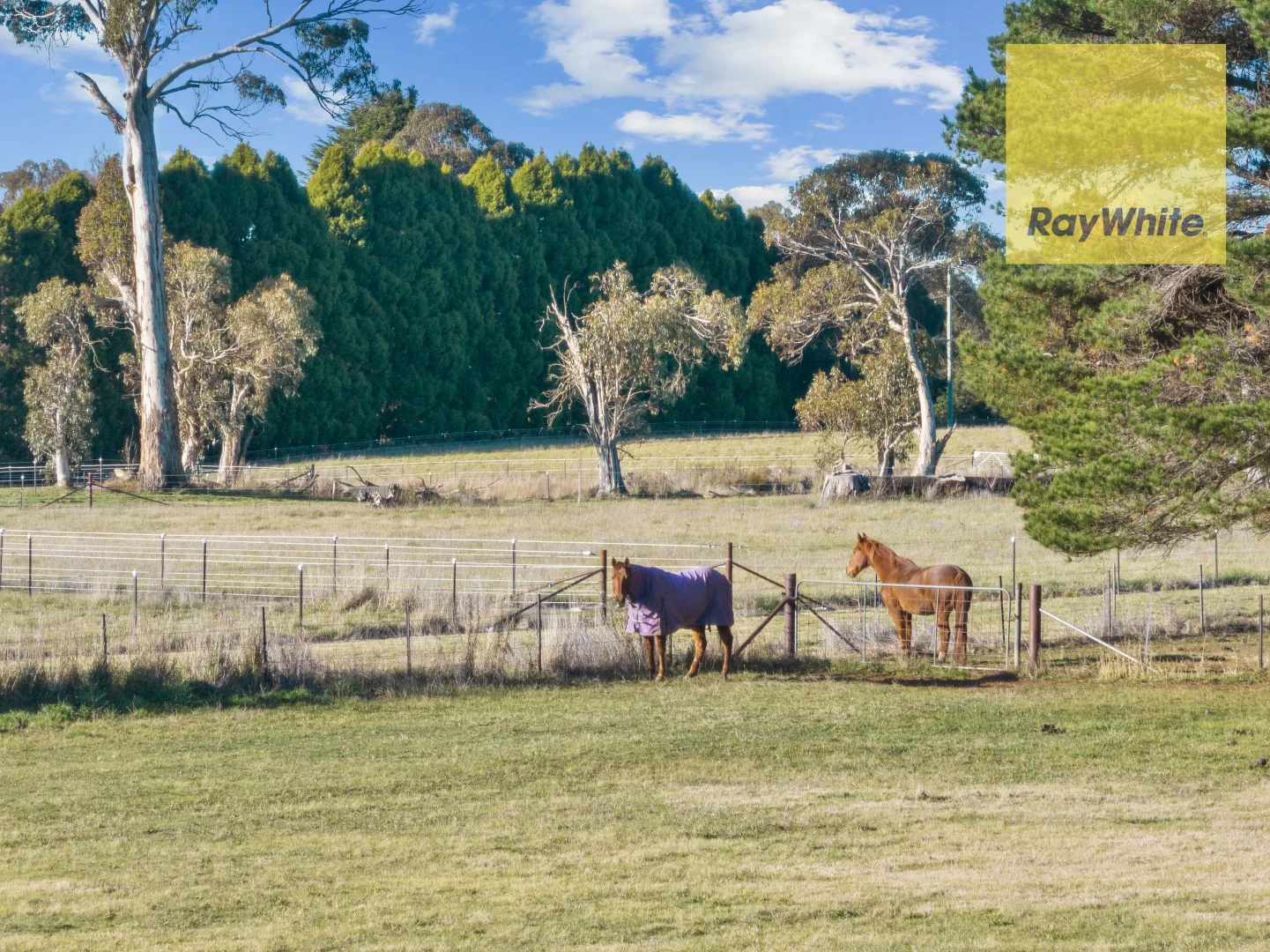 Additional image 18 of Lot 2 Cullen Street, Crookwell NSW 2583