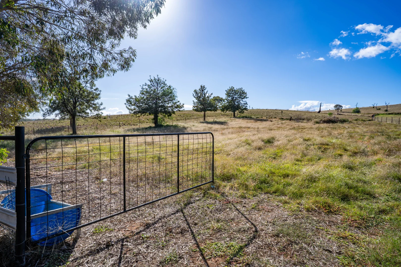Additional image 11 of 51 Cable Street, Canowindra NSW 2804