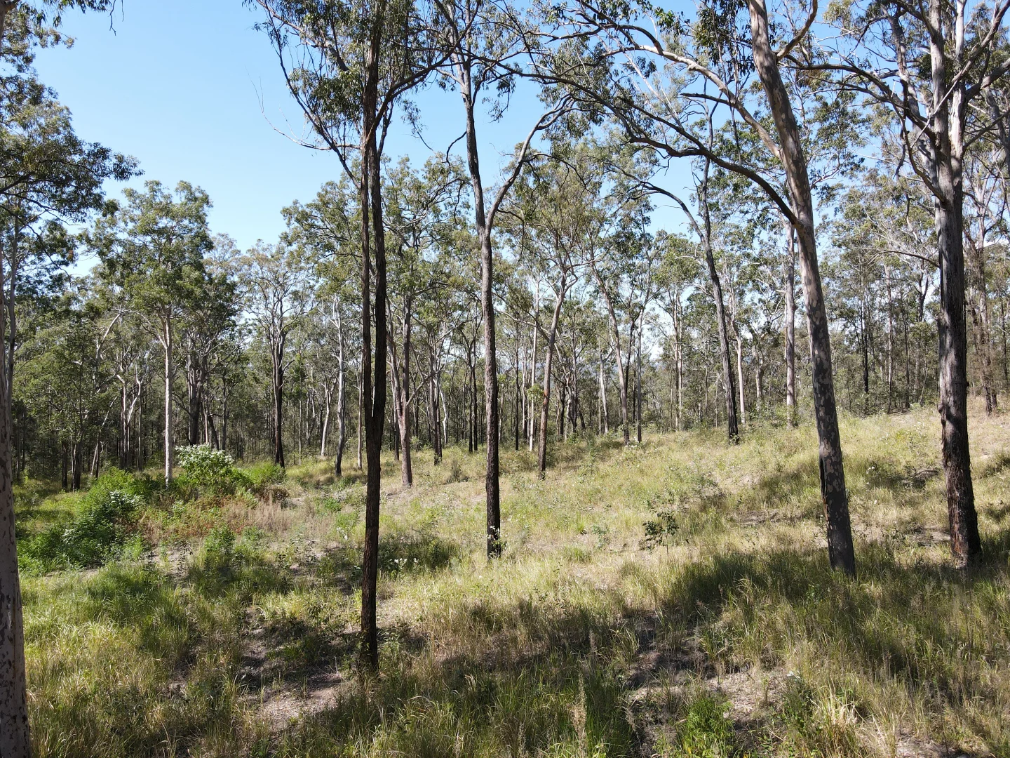 Additional image 18 of 428 Bruxner Road, Drake NSW 2469