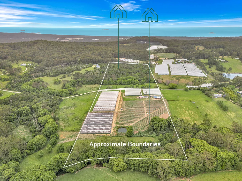289 Mardells Road, Bucca NSW 2450