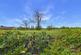 Additional image 17 of Rookwood Avenue, Lancashire PR7