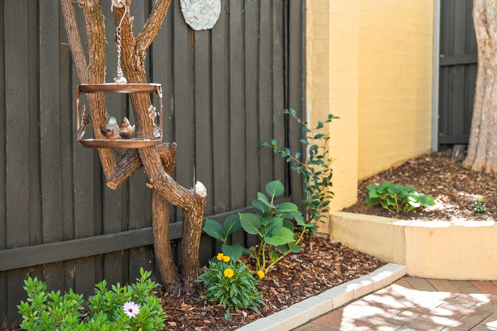 Additional image 18 of 4/6 Tauss Place, Bruce ACT 2617