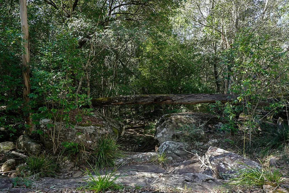 Additional image 30 of 202 Summer Hill Road, Vacy NSW 2421