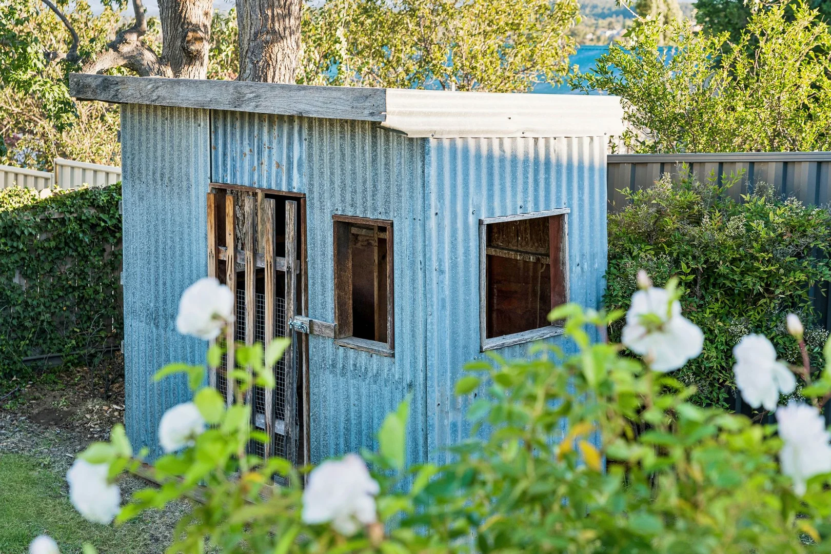 Additional image 32 of 30 Harris Street, Cooma NSW 2630