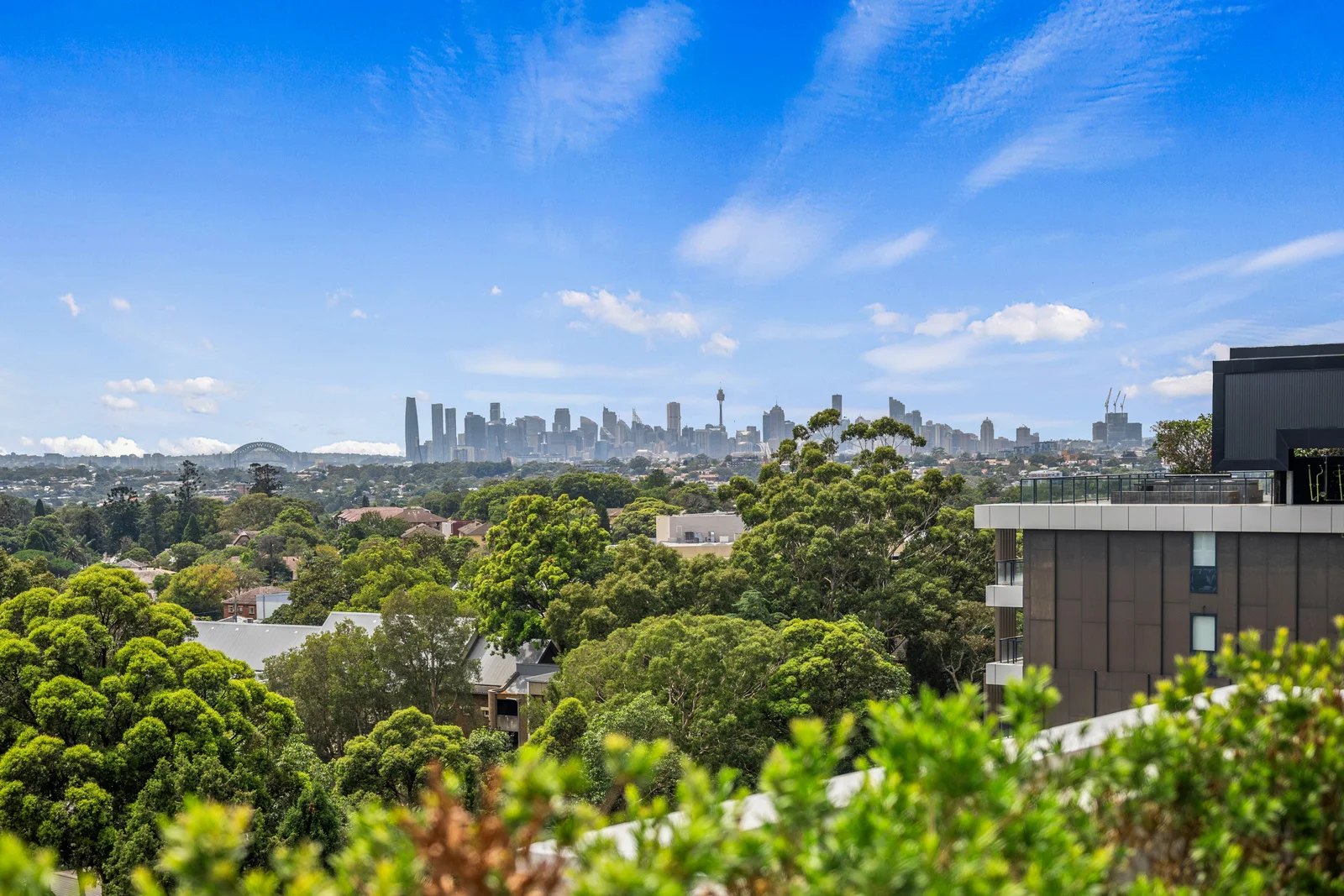 Additional image 15 of 75 Norton Street, Ashfield NSW 2131