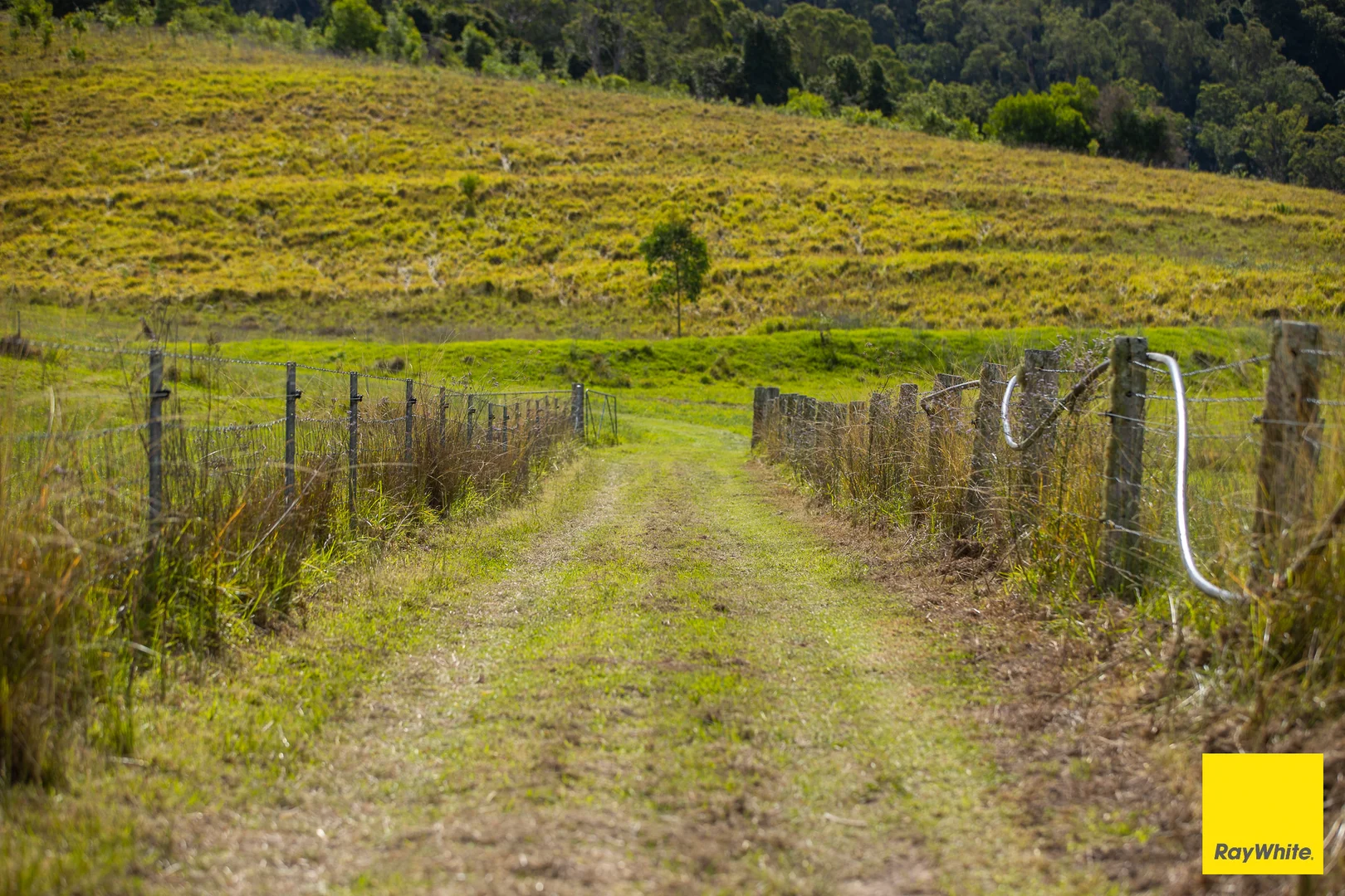 Additional image 22 of 721 Upper Avon Road, Craven NSW 2422