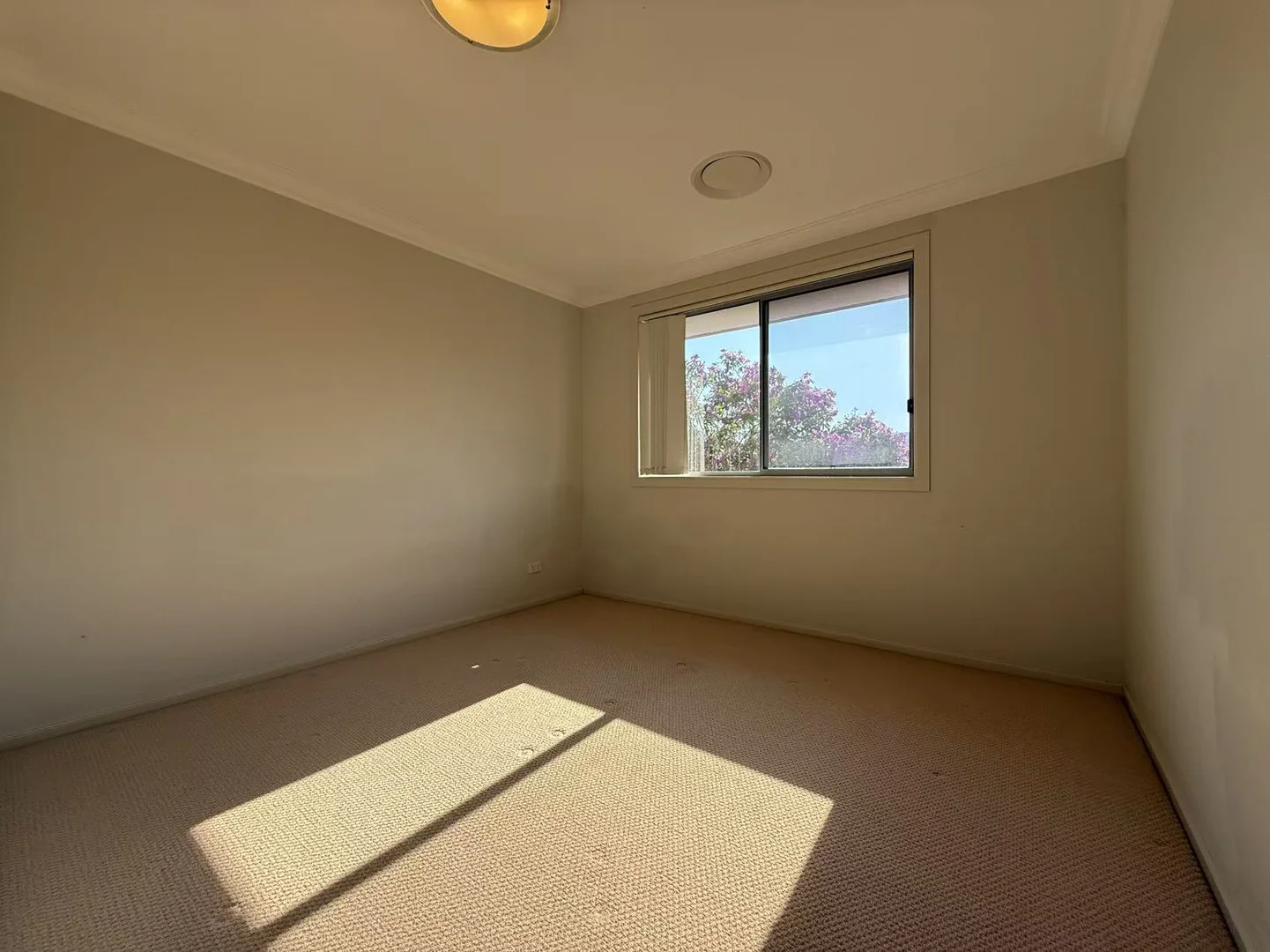 Additional image 10 of 19 Irvine Crescent, Ryde NSW 2112
