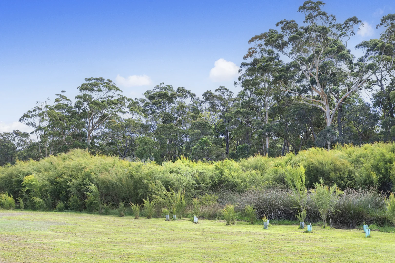 Additional image 8 of 23 Gumtree Close, Cowaramup WA 6284