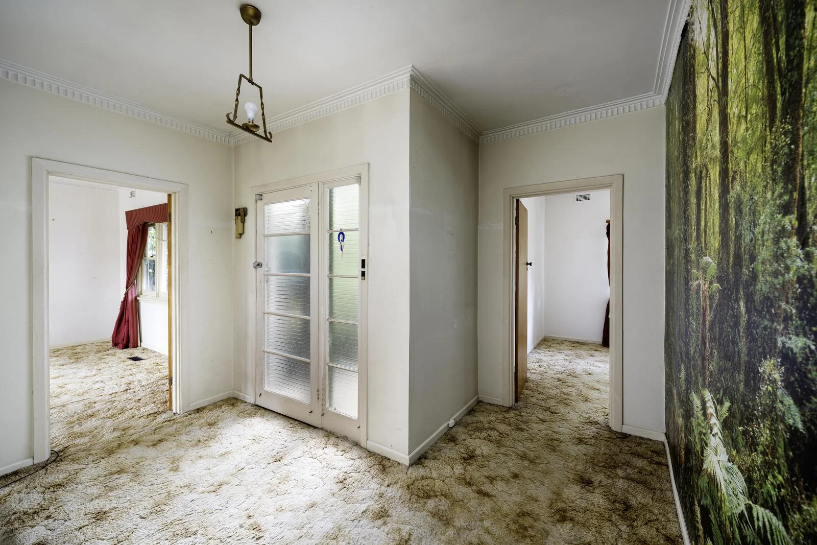 Additional image 5 of 13 Northumberland Road, Pascoe Vale VIC 3044