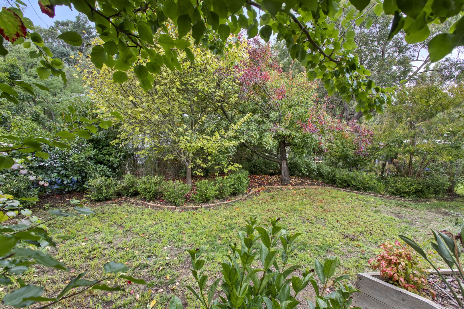 Additional image 15 of 559 Mount Barker Road, Bridgewater SA 5155