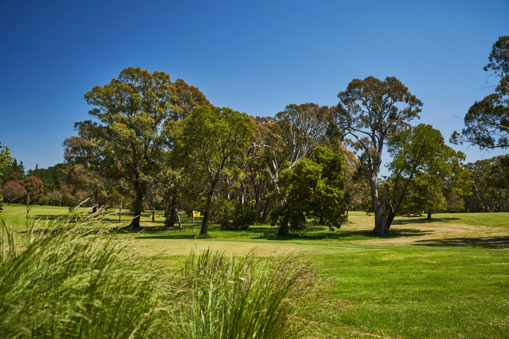 Additional image 21 of Everglow Drive, Kyneton VIC 3444