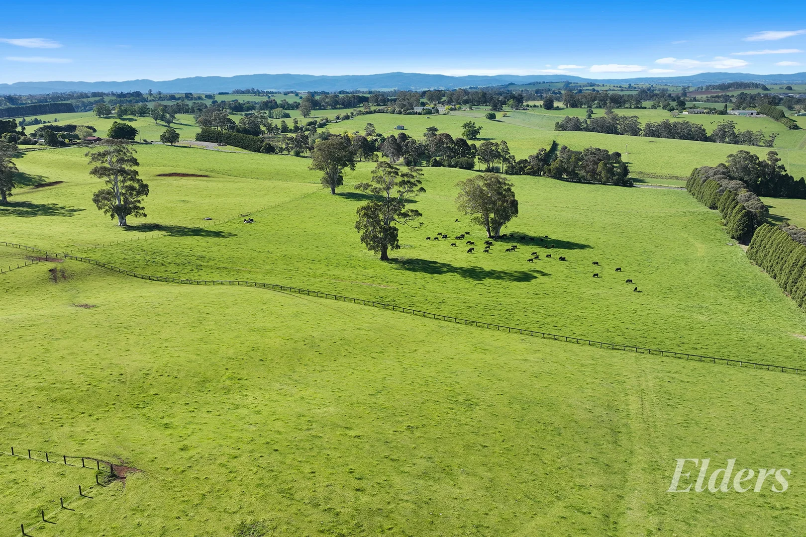 Additional image 18 of 381 Warragul Lardner Road & 935 Lardners Track, Warragul VIC 3820