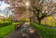Additional image 34 of Trinity Crescent, Edinburgh EH5