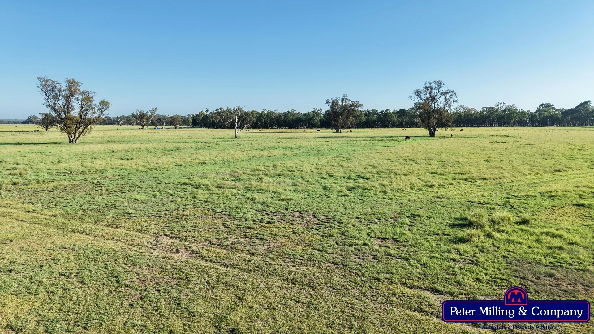 Additional image 9 of 59 Piambra Road, Binnaway NSW 2395