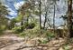 Additional image 3 of Webbs Close, Ashley Heath, BH24 2EP
