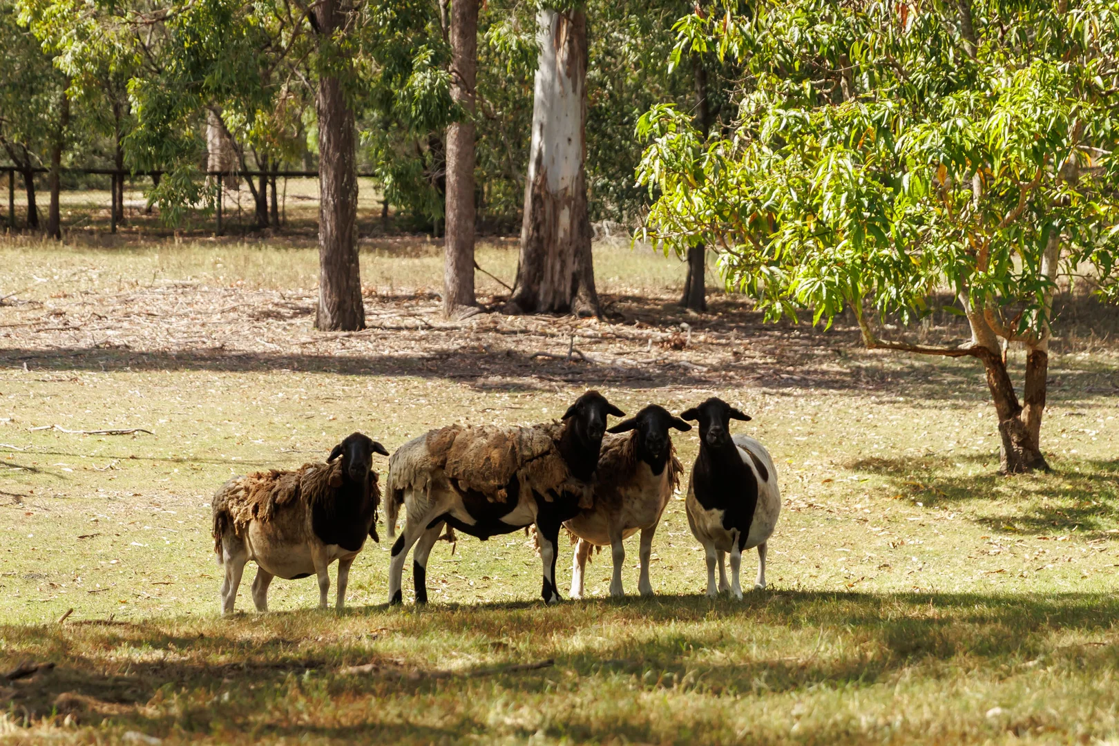 Additional image 17 of 72 Riversleigh Road, Bellbowrie QLD 4070