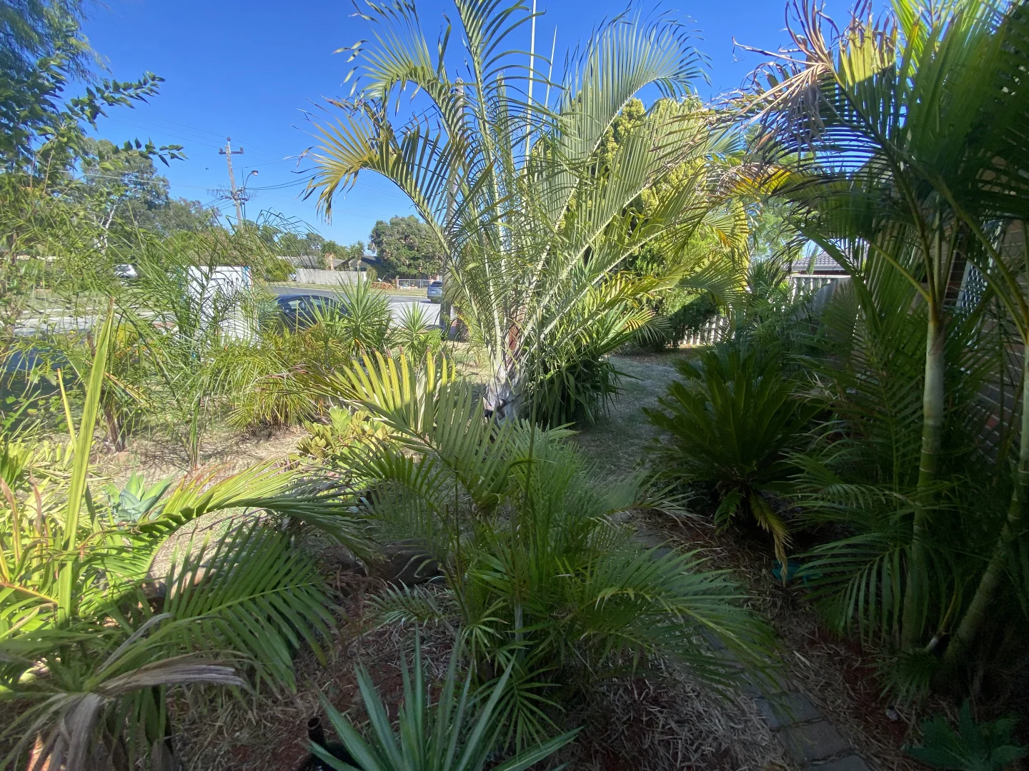 Additional image 21 of 13 Nanovich Avenue, Girrawheen WA 6064