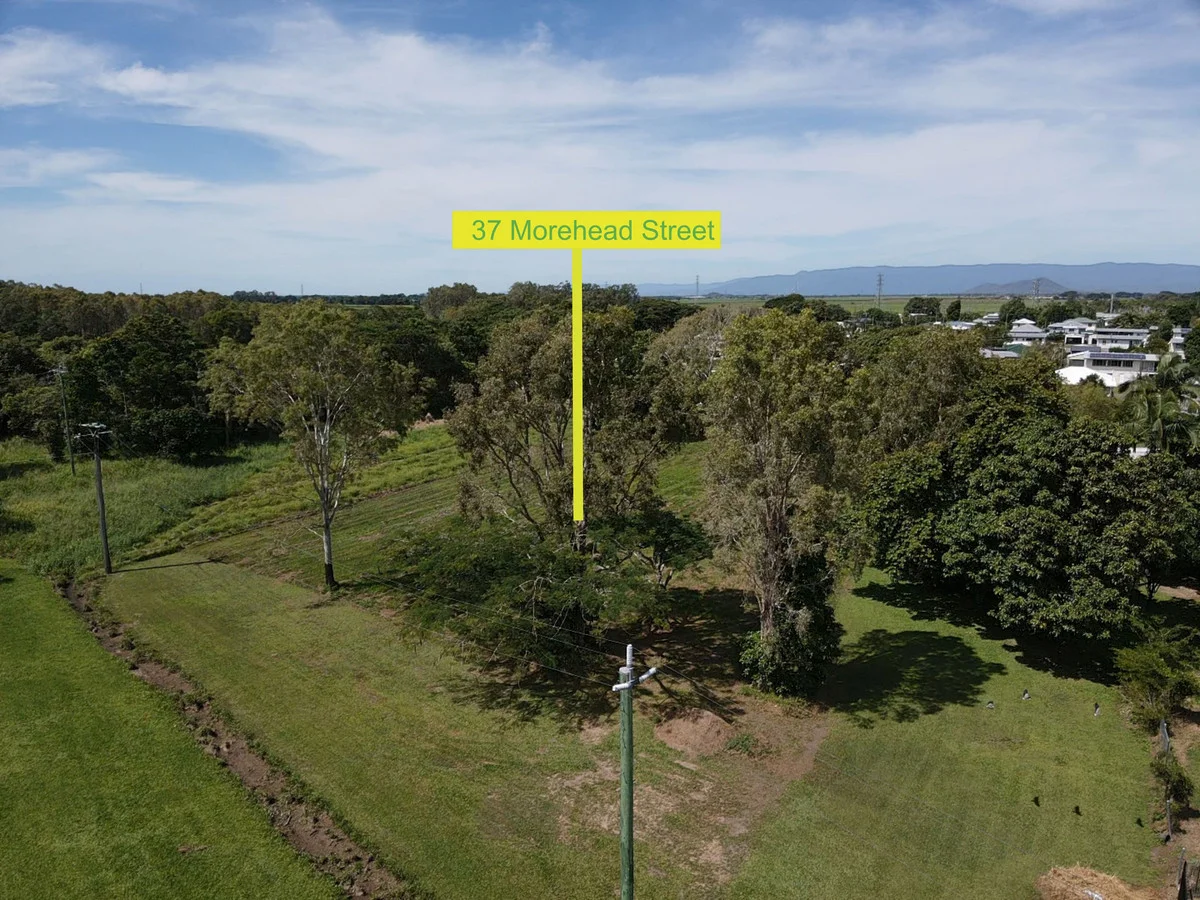 37 Morehead Street, Ingham QLD 4850