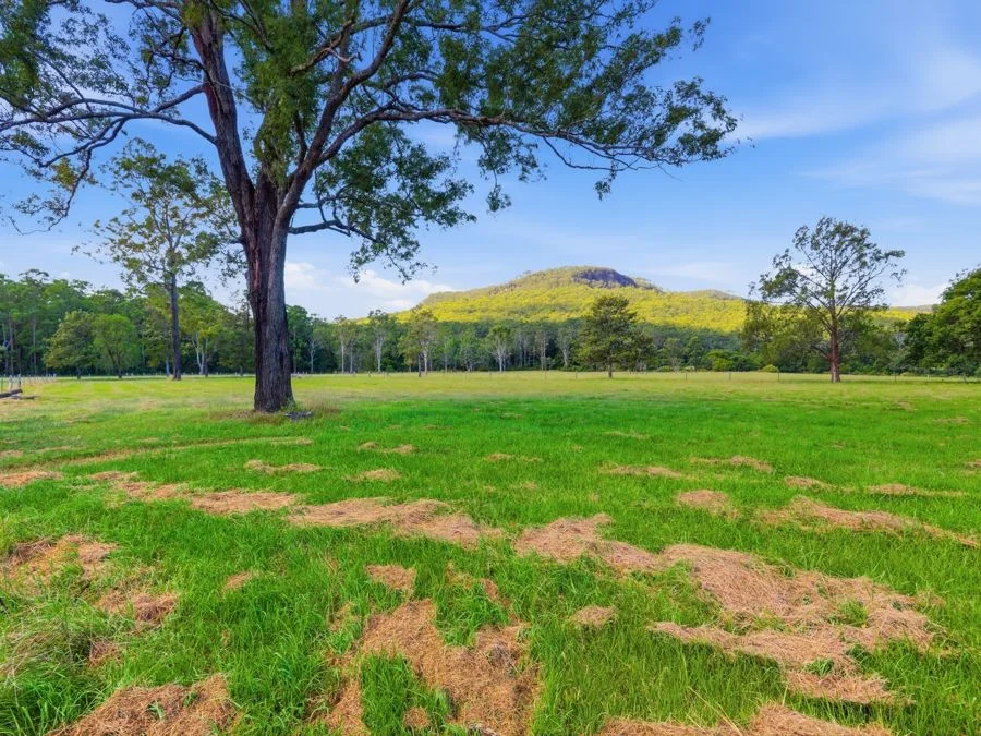 Additional image 18 of 2022 Orara Way, Glenreagh NSW 2450