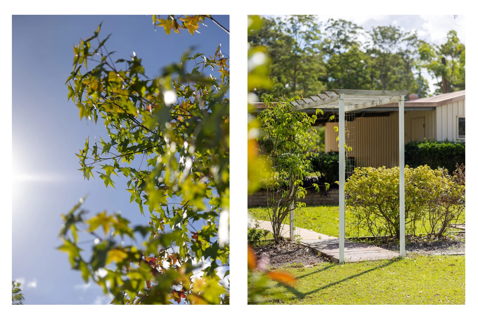 60 Iluka Circuit, Taree NSW 2430 photo 4
